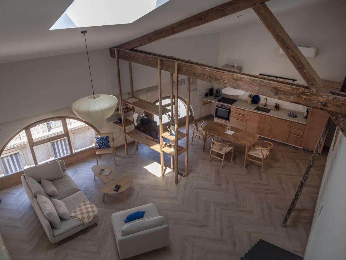 Appartement Le Nid Bleu Duplex En Plein Centre à Castres  Extérieur photo